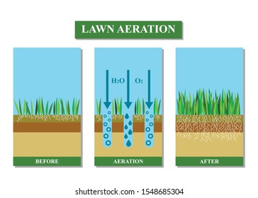Lawn aeration vector illustration. Before and after aeration: gardening, lawn grass care service, landscape design.Benefits, advangages of aeration.Vector illustration is isolated on white background.