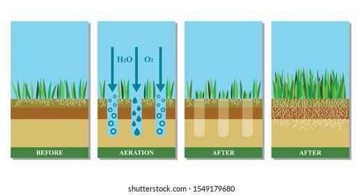Ilustración vectorial de aireación de césped. Antes y después de la aireación: jardinería, servicio de césped, diseño paisajístico. Ventajas, ventajas de la aireación.La ilustración vectorial está aislada en el fondo blanco.