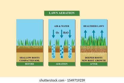 Lawn aeration vector illustration. Before and after aeration: gardening, lawn grass care service,landscape design. Benefits, advangages of aeration.Vector illustration is isolated on white background.