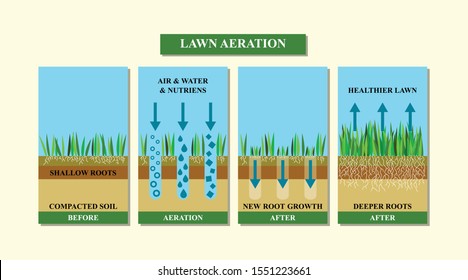 Lawn aeration vector illustration. Before and after aeration: gardening, lawn grass care service, landscape design.Benefits, advangages of aeration.Vector illustration is isolated on white background.