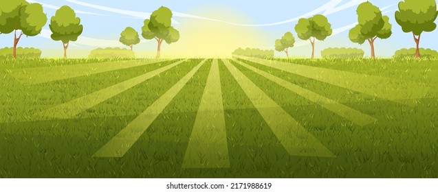 vector de paisaje de fondo de césped. campo verde, hierba de primavera, pradera de verano, árbol de jardín, escena de la planta de parque, césped soleado de fondo naturaleza vista ilustración caricatura