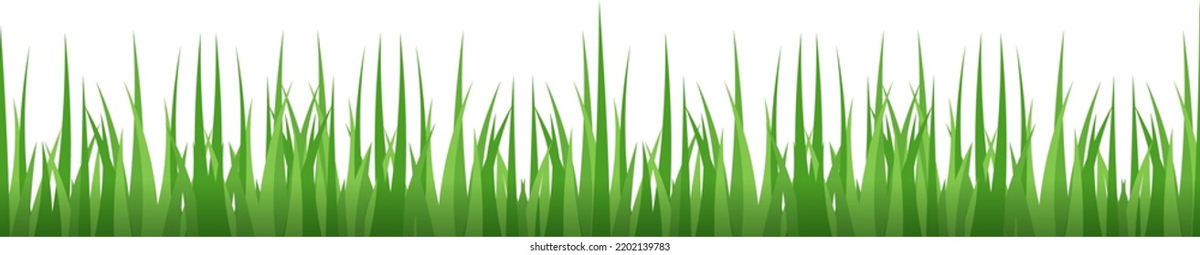 Lawn border. Green grass. Bright meadow plants