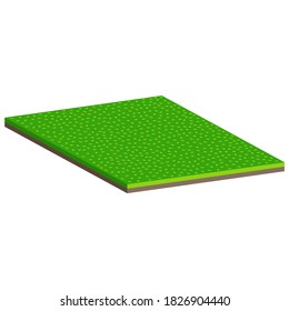 Lawn with brown soil.Turf of green grass.Vector isometric and 3D view.
