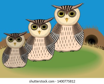 Lawn and burrow with three owls in the foreground. Three owl owls sit in a row next to each other.