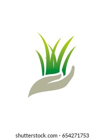 Lawn Care 