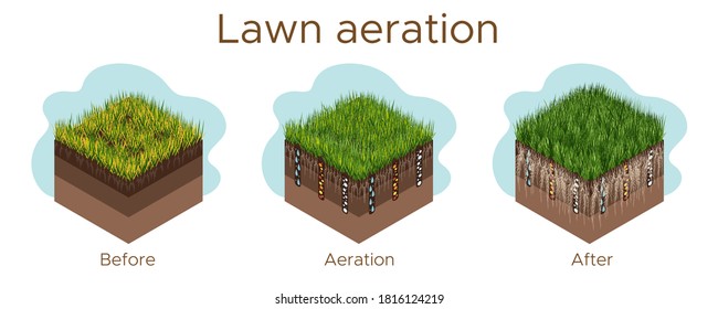 Lawn care - aeration and scarification. Labels by stage-before, during, and after. Intake of substances-water, oxygen, and nutrients to feed the grass and soil. Vector isometric illustration isolated.