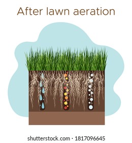 Lawn care - aeration and scarification. Labels by stage-after. Intake of substances-water, oxygen, and nutrients to feed the grass and soil. Vector flat illustration isolated.