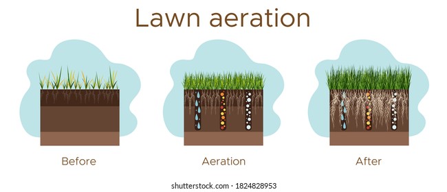 Lawn care - aeration and scarification. Labels by stage-before, during, and after. Intake of substances-water, oxygen, and nutrients to feed the grass and soil. Vector flat illustration - horizontal.