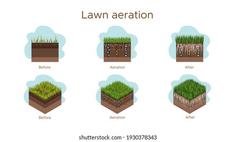 Lawn care - aeration and scarification. Labels by stage-before, during, and after. Intake of substances-water, oxygen, and nutrients to feed the grass and soil. Vector isometric and flat illustration