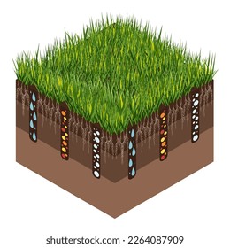 Lawn care - aeration and scarification. Labels by stage-during. Intake of substances-water, oxygen, and nutrients to feed the grass and soil. Vector isometric illustration isolated