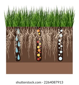 Lawn care - aeration and scarification. Labels by stage-after. Intake of substances-water, oxygen, and nutrients to feed the grass and soil. Vector flat illustration isolated