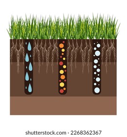 Lawn care - aeration and scarification. Labels by stage-during. Intake of substances-water, oxygen, and nutrients to feed the grass and soil. Vector flat illustration isolated