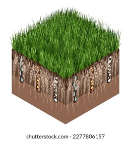 Lawn care - aeration and scarification. Labels by stage- after. Intake of substances-water, oxygen, and nutrients to feed the grass and soil. Vector isometric illustration isolated