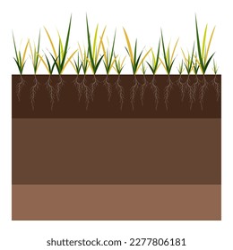 Lawn care - aeration and scarification. Labels by stage-before. Intake of substances-water, oxygen, and nutrients to feed the grass and soil. Vector flat illustration isolated