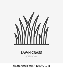 Lawn grass flat line icon. Vector thin sign of planting. Landscaping, meadow illustration.