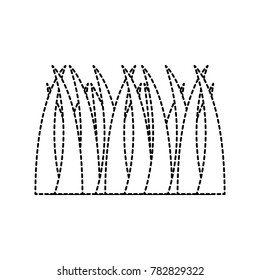 lawn grass plant icon image 