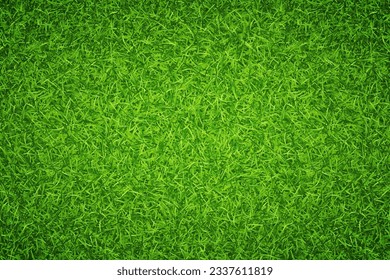Lawn green grass background. Vector