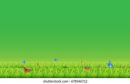 Lawn and green sky