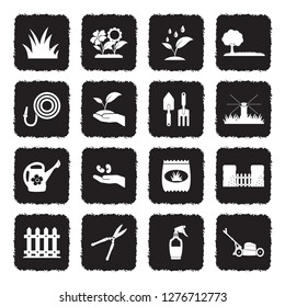 Lawn Icons. Grunge Black Flat Design. Vector Illustration. 