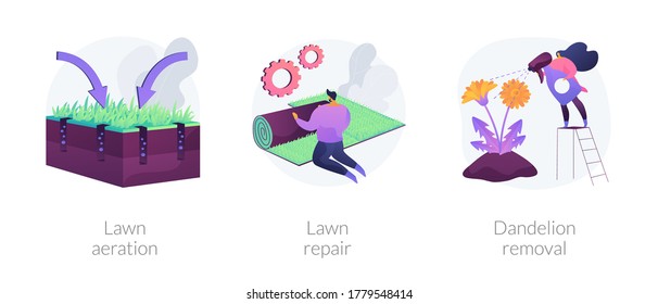 Lawn maintenance abstract concept vector illustration set. Lawn aeration and repair, dandelion removal, overseeding service, grass fertilization, thatch and moss, soil compaction abstract metaphor.