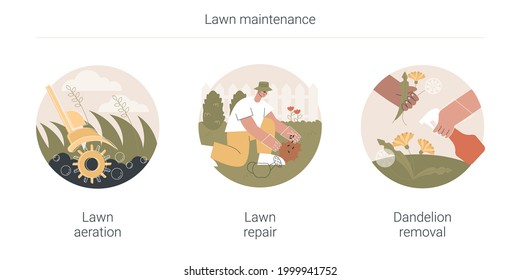 Lawn maintenance abstract concept vector illustration set. Lawn aeration and repair, dandelion removal, overseeding service, grass fertilization, thatch and moss, soil compaction abstract metaphor.