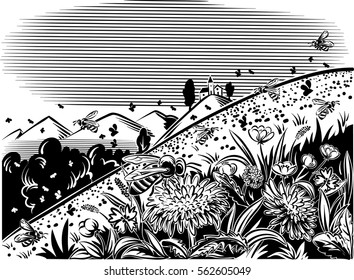 Lawn mountain flower, worker bees fly on flowers.