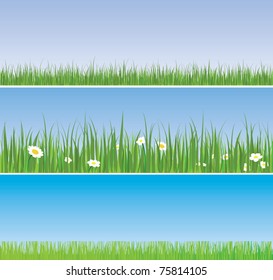 Lawn. Set of  backgrounds of green grass.