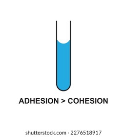 Laws of physics adhesion and cohesion of water in physic, capillary action of liquid due to surface tension and intermolecular force of attractions for the physics lesson. vector illustration design 