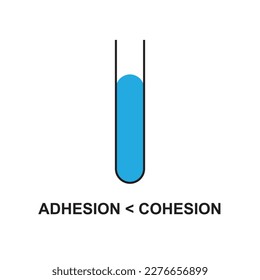 Laws of physics adhesion and cohesion of water in physic, capillary action of liquid due to surface tension and intermolecular force of attractions for the physics lesson. vector illustration design 