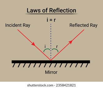 Laws of Reflection. Plane Mirror