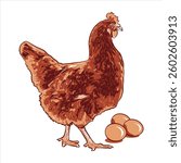 Layer hen vector art colorful image in white background.