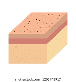 layer of skin type