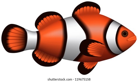 Layered editable vector illustration of isolated Clownfish with white background.