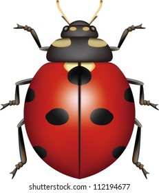 Layered editable vector illustration of a ladybug.