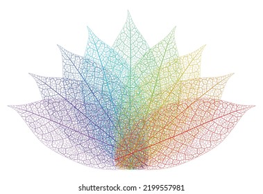 Layered editable vector illustration outline of a flower pattern composed of leaf veins with different colors.