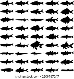 Layered editable vector illustration silhouette of 45 freshwater fish.