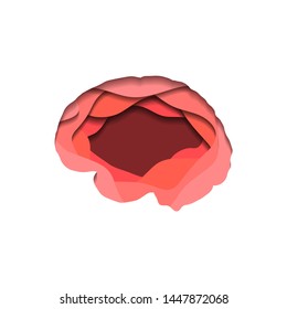 Layered human brain cut out of paper on white background. Paper cut origami. Vector illustration for article, banner and your design