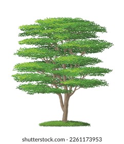 Layered Leaf Tree, vector illustration isolated on white background