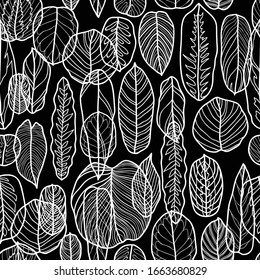 layered linear exotic decorative leaves botanical seamless pattern on black background monochrome black and white vector repeat pattern