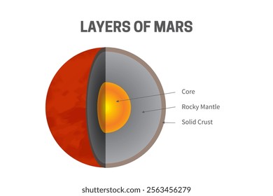 Layers of Mars - Core, Rocky Mantle and Solid Crust Infographic Illustration