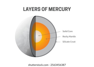 Layers of Mercury - Solid Core, Rocky Mantle and Silicate Crust Infographic Illustration