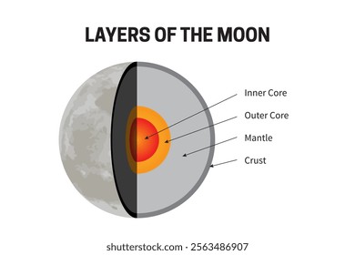 Layers of the Moon - Inner Core, Outer Core, Mantle and Crust Infographic Illustration