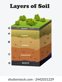 Layers of Soil diagram. Science education vector 3d illustration