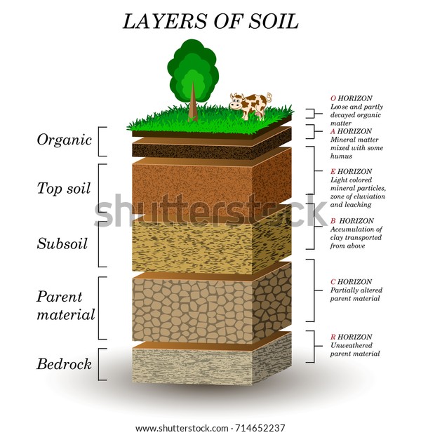 土の層 教育図 鉱物粒子砂腐石天然肥料バナー ページ ポスター ベクターイラスト用のテンプレート のベクター画像素材 ロイヤリティフリー