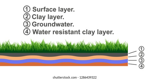 Layers of soil. Infographic from the upper layers of the earth's surface.