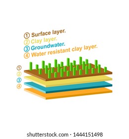 Layers of soil. Infographic from the upper layers of the earth's surface.Isometric and 3D view.