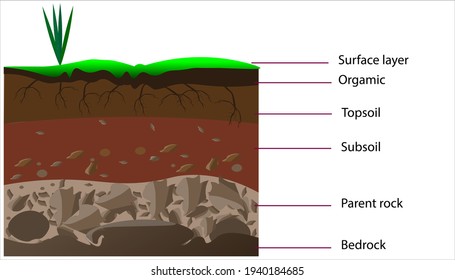 Layers of the soil profile