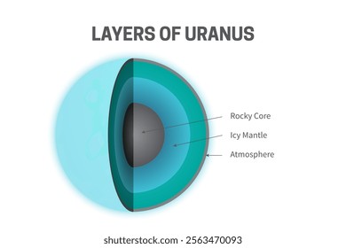 Layers of Uranus - Rocky Core, Icy Mantle and Atmosphere Infographic Illustration