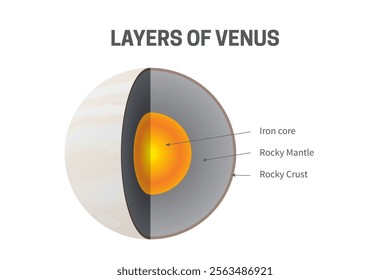 Layers of Venus - Iron Core, Rocky Mantle and Rocky Crust Infographic Illustration