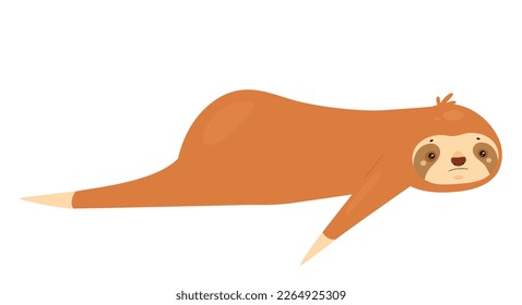 Laying down sloth animal. Lazy jungle bear, tropical arboreal mammal vector illustration